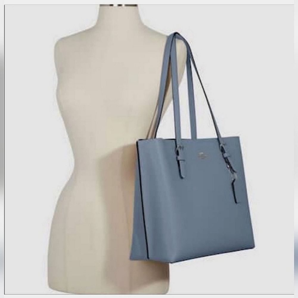 Coach Mollie Large Tote